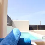 Serapias *